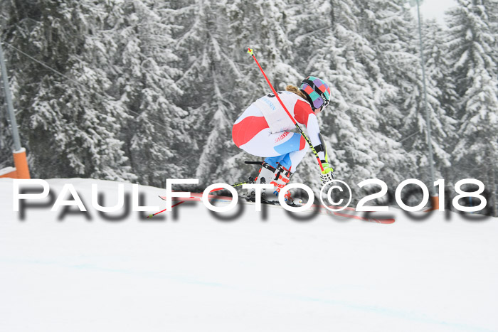 Int. FIS Rennen + NJC Damen, SG, Götschen, 22.02.2018