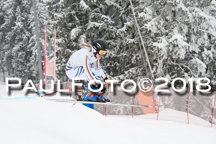 Int. FIS Rennen + NJC Damen, SG, Götschen, 22.02.2018