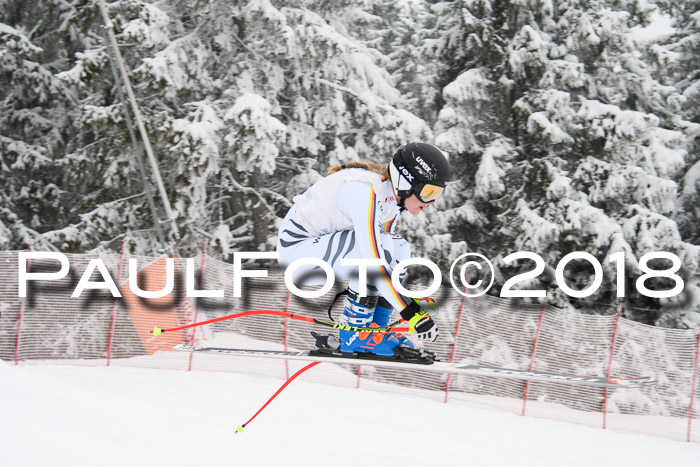 Int. FIS Rennen + NJC Damen, SG, Götschen, 22.02.2018