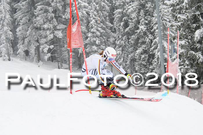 Int. FIS Rennen + NJC Damen, SG, Götschen, 22.02.2018