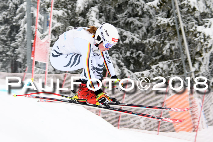 Int. FIS Rennen + NJC Damen, SG, Götschen, 22.02.2018