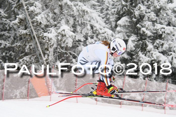 Int. FIS Rennen + NJC Damen, SG, Götschen, 22.02.2018