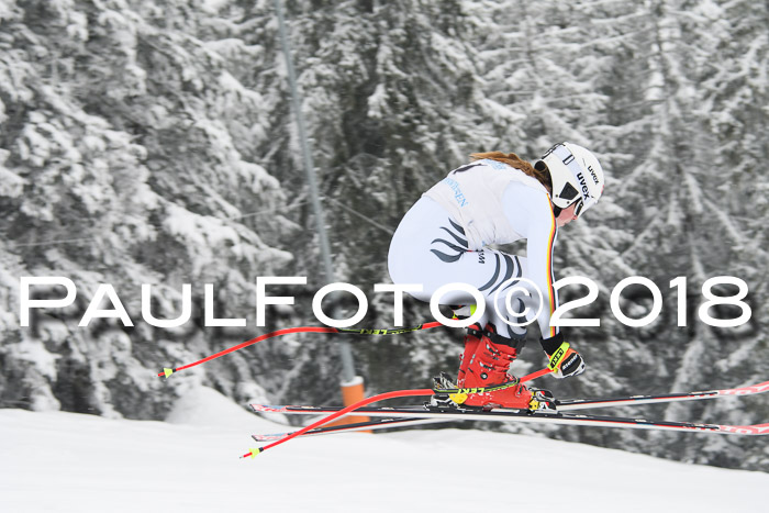 Int. FIS Rennen + NJC Damen, SG, Götschen, 22.02.2018