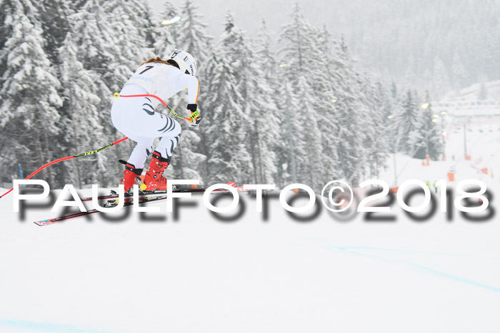Int. FIS Rennen + NJC Damen, SG, Götschen, 22.02.2018