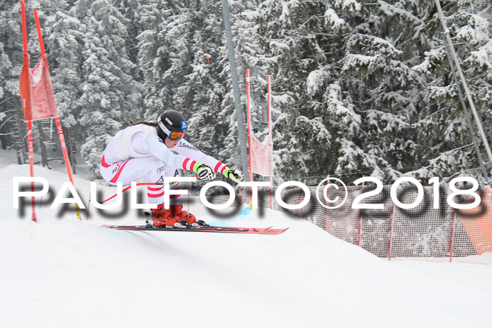 Int. FIS Rennen + NJC Damen, SG, Götschen, 22.02.2018