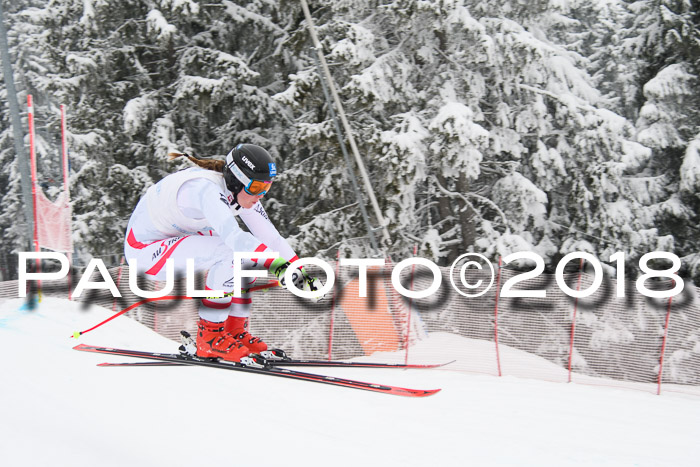 Int. FIS Rennen + NJC Damen, SG, Götschen, 22.02.2018