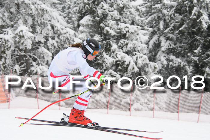 Int. FIS Rennen + NJC Damen, SG, Götschen, 22.02.2018