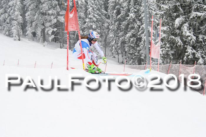 Int. FIS Rennen + NJC Damen, SG, Götschen, 22.02.2018