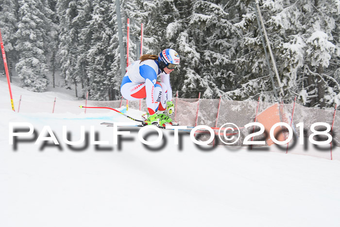 Int. FIS Rennen + NJC Damen, SG, Götschen, 22.02.2018