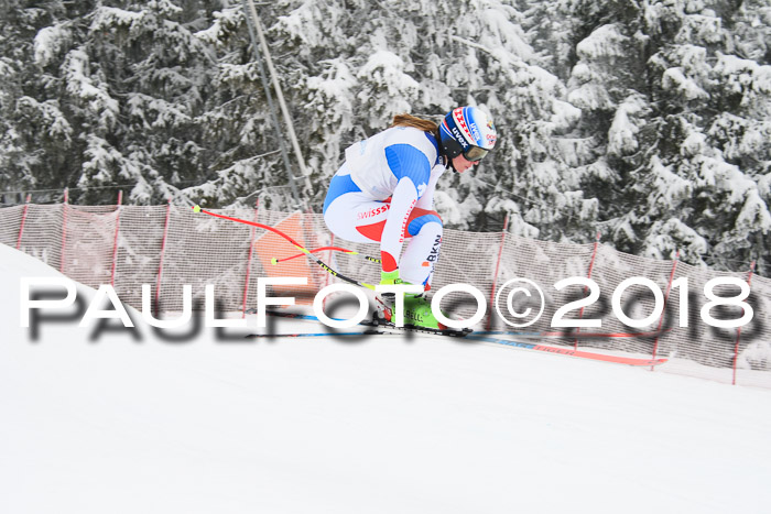 Int. FIS Rennen + NJC Damen, SG, Götschen, 22.02.2018