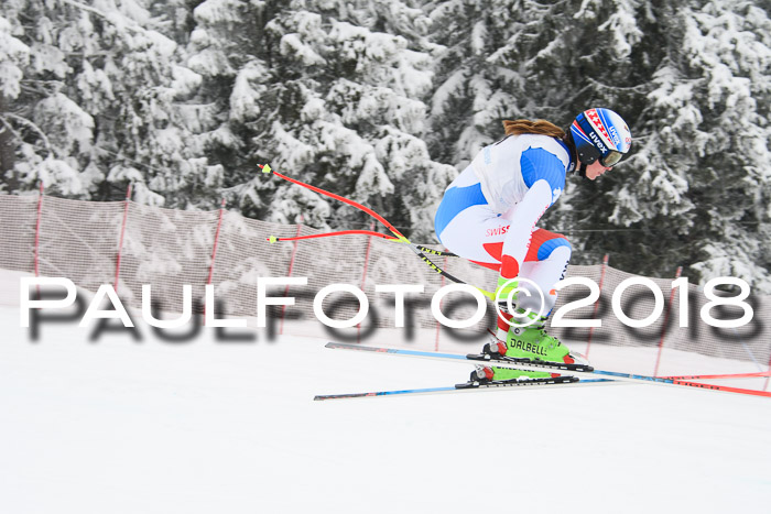 Int. FIS Rennen + NJC Damen, SG, Götschen, 22.02.2018