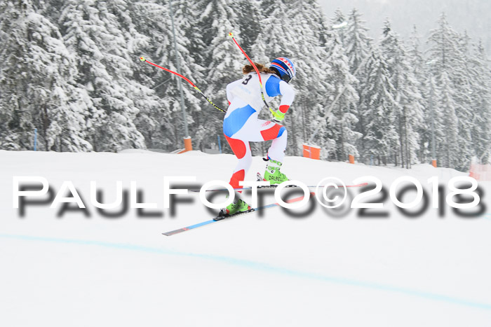 Int. FIS Rennen + NJC Damen, SG, Götschen, 22.02.2018