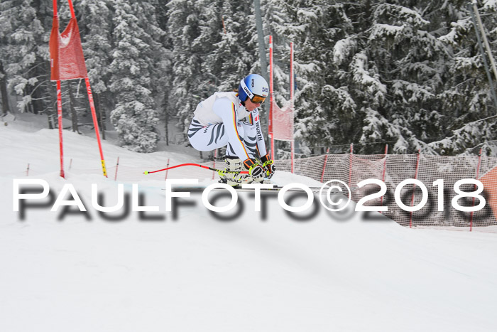 Int. FIS Rennen + NJC Damen, SG, Götschen, 22.02.2018