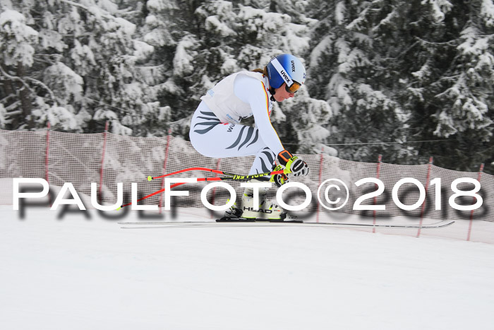 Int. FIS Rennen + NJC Damen, SG, Götschen, 22.02.2018