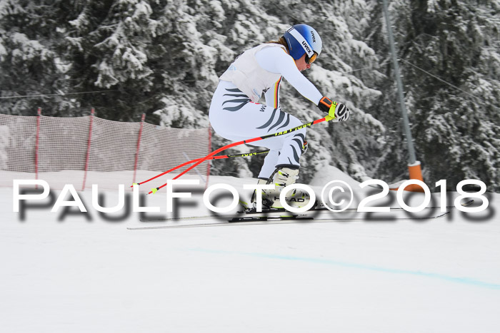 Int. FIS Rennen + NJC Damen, SG, Götschen, 22.02.2018