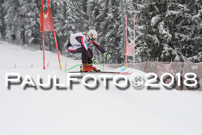 Int. FIS Rennen + NJC Damen, SG, Götschen, 22.02.2018