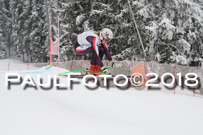 Int. FIS Rennen + NJC Damen, SG, Götschen, 22.02.2018