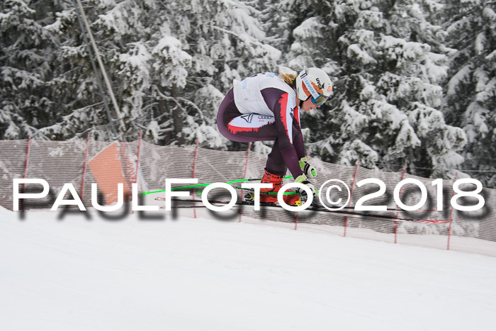 Int. FIS Rennen + NJC Damen, SG, Götschen, 22.02.2018