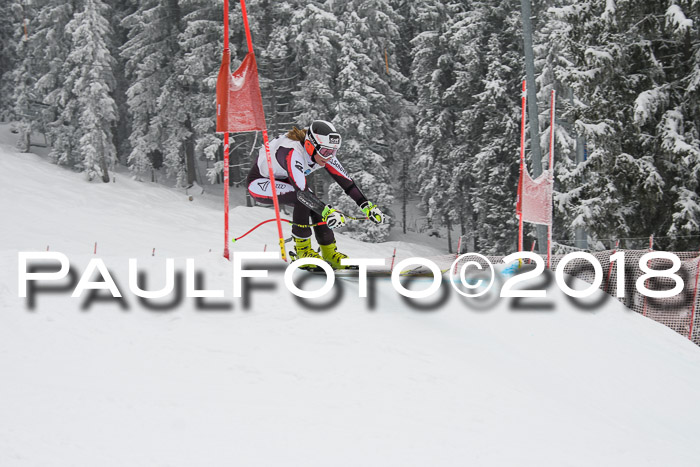 Int. FIS Rennen + NJC Damen, SG, Götschen, 22.02.2018