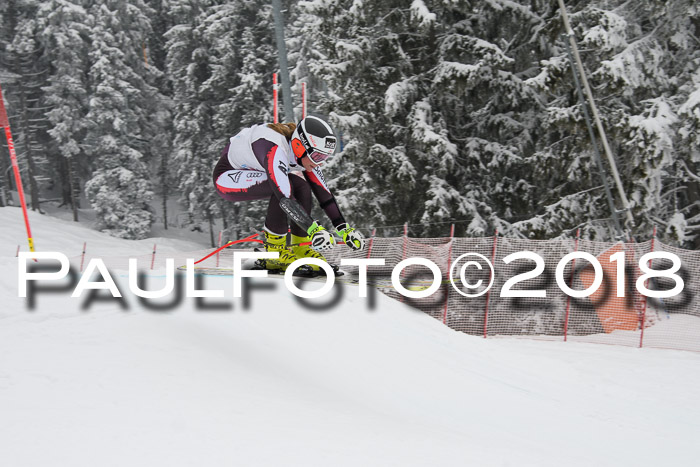 Int. FIS Rennen + NJC Damen, SG, Götschen, 22.02.2018