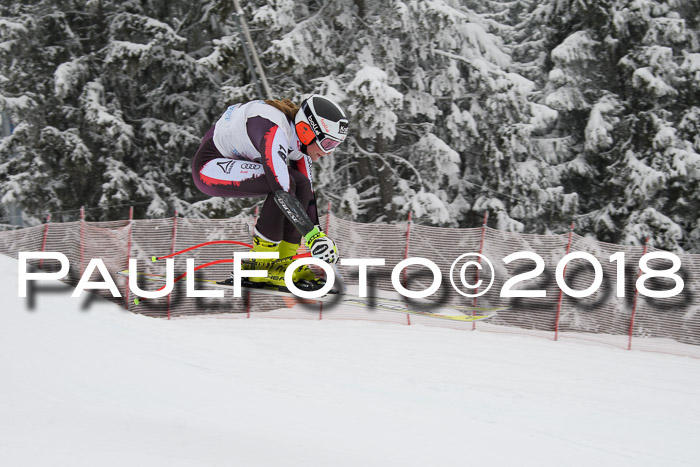 Int. FIS Rennen + NJC Damen, SG, Götschen, 22.02.2018
