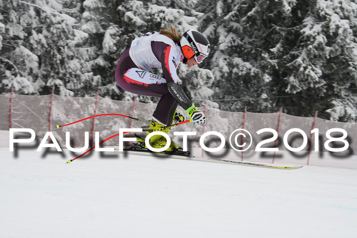 Int. FIS Rennen + NJC Damen, SG, Götschen, 22.02.2018