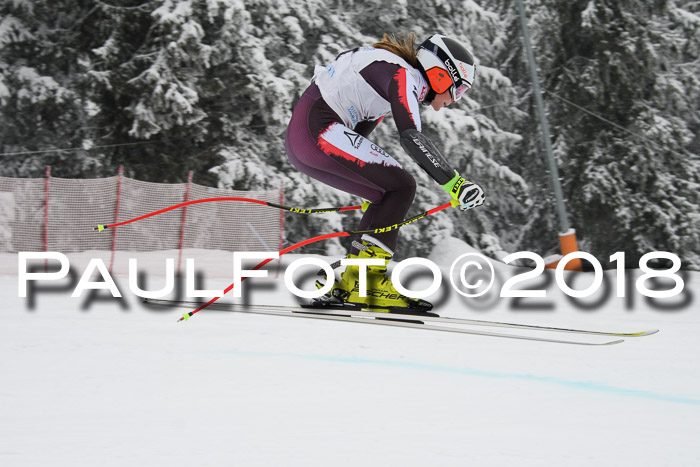 Int. FIS Rennen + NJC Damen, SG, Götschen, 22.02.2018