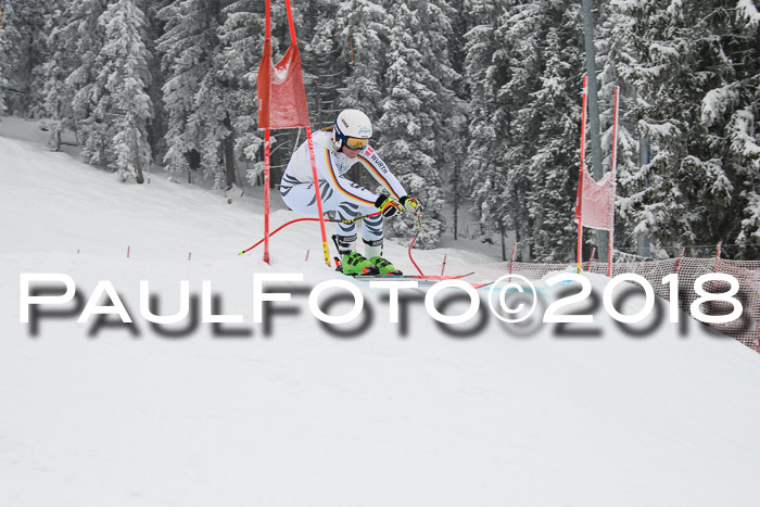 Int. FIS Rennen + NJC Damen, SG, Götschen, 22.02.2018