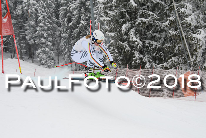 Int. FIS Rennen + NJC Damen, SG, Götschen, 22.02.2018