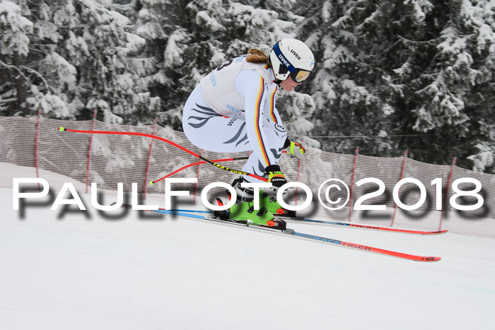 Int. FIS Rennen + NJC Damen, SG, Götschen, 22.02.2018