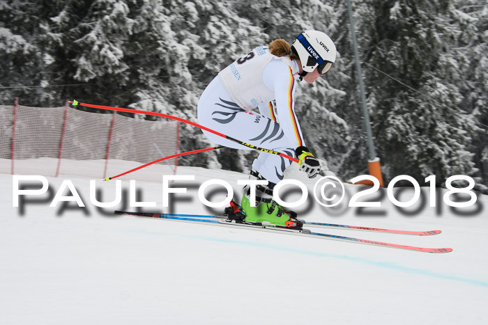 Int. FIS Rennen + NJC Damen, SG, Götschen, 22.02.2018