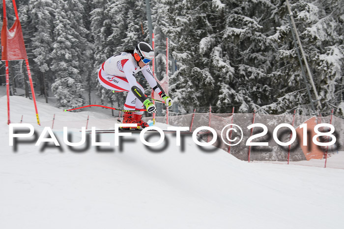 Int. FIS Rennen + NJC Damen, SG, Götschen, 22.02.2018