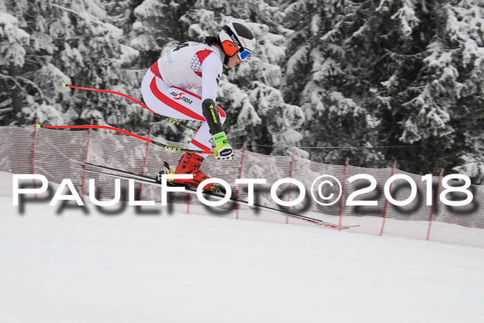 Int. FIS Rennen + NJC Damen, SG, Götschen, 22.02.2018