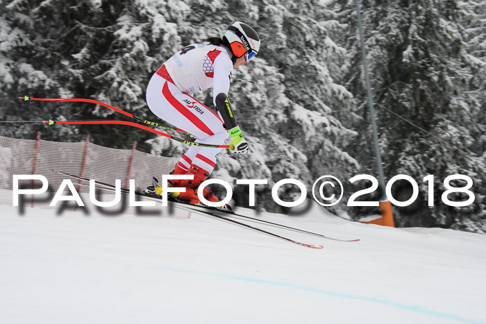 Int. FIS Rennen + NJC Damen, SG, Götschen, 22.02.2018