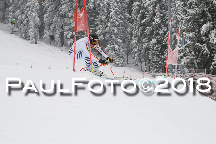 Int. FIS Rennen + NJC Damen, SG, Götschen, 22.02.2018