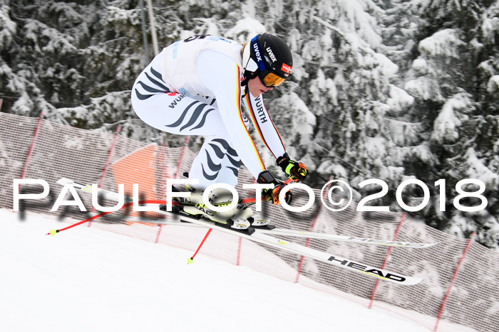 Int. FIS Rennen + NJC Damen, SG, Götschen, 22.02.2018