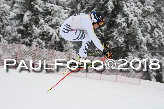 Int. FIS Rennen + NJC Damen, SG, Götschen, 22.02.2018