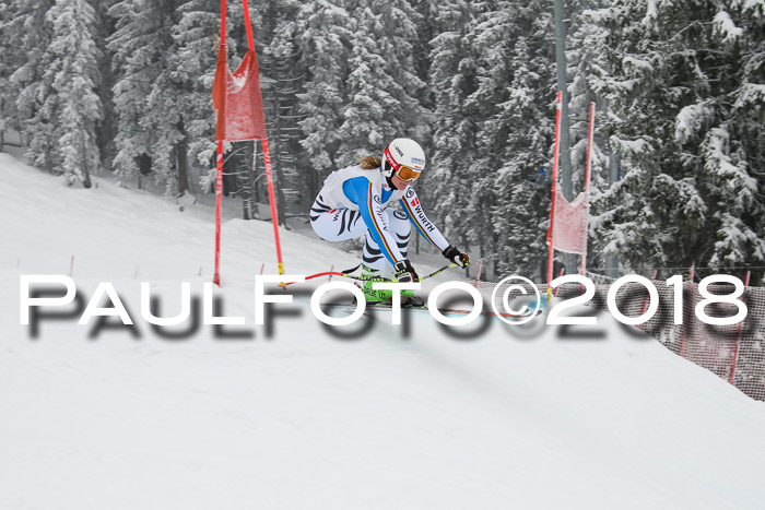 Int. FIS Rennen + NJC Damen, SG, Götschen, 22.02.2018