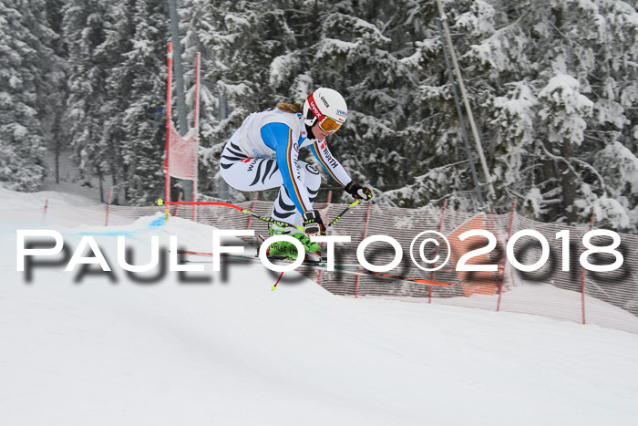 Int. FIS Rennen + NJC Damen, SG, Götschen, 22.02.2018