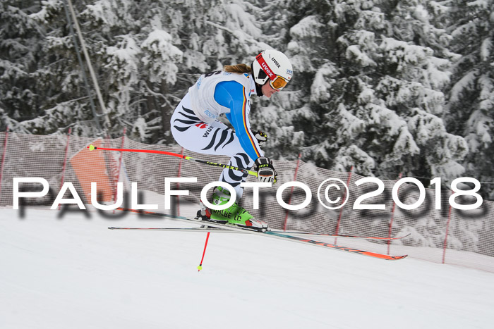 Int. FIS Rennen + NJC Damen, SG, Götschen, 22.02.2018