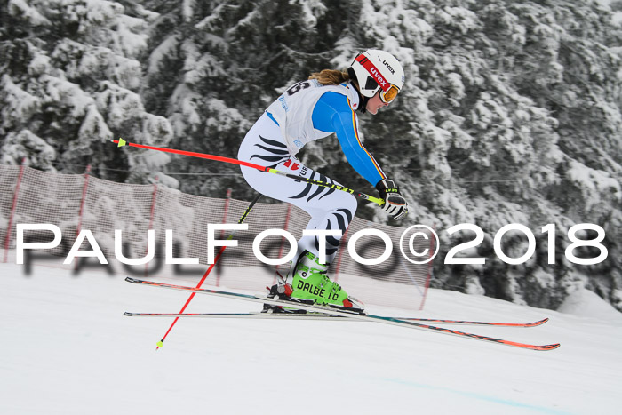 Int. FIS Rennen + NJC Damen, SG, Götschen, 22.02.2018