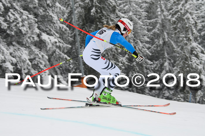 Int. FIS Rennen + NJC Damen, SG, Götschen, 22.02.2018