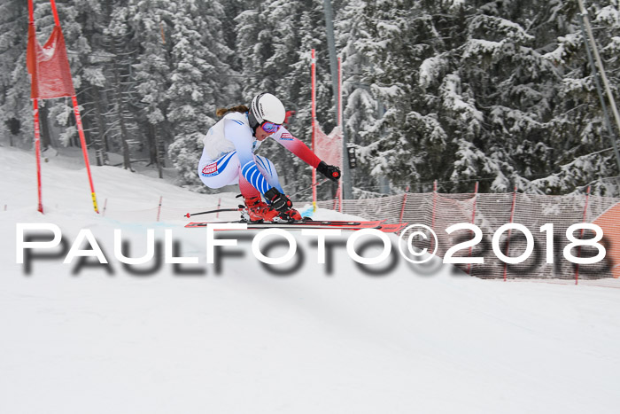 Int. FIS Rennen + NJC Damen, SG, Götschen, 22.02.2018