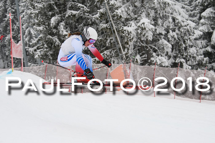 Int. FIS Rennen + NJC Damen, SG, Götschen, 22.02.2018