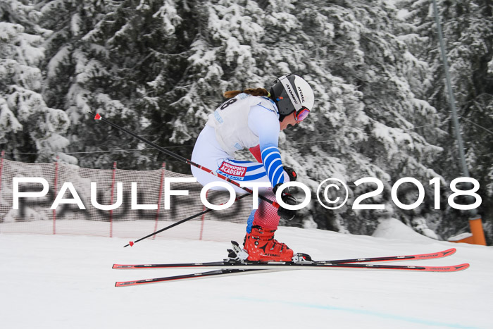 Int. FIS Rennen + NJC Damen, SG, Götschen, 22.02.2018