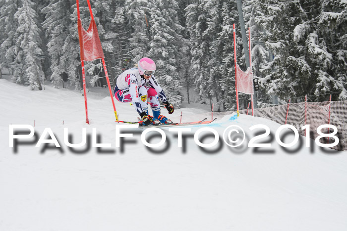 Int. FIS Rennen + NJC Damen, SG, Götschen, 22.02.2018