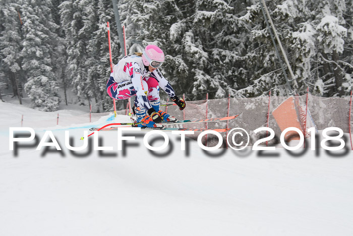 Int. FIS Rennen + NJC Damen, SG, Götschen, 22.02.2018