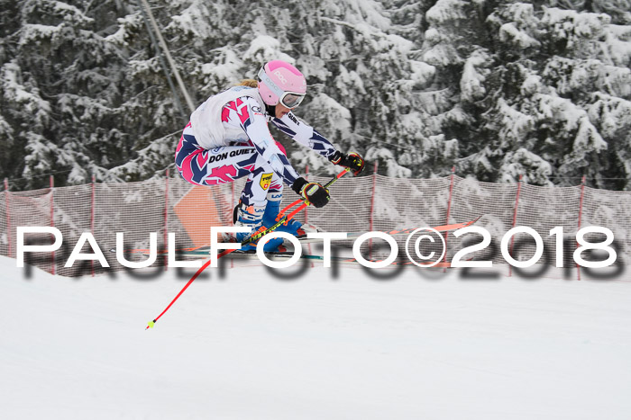 Int. FIS Rennen + NJC Damen, SG, Götschen, 22.02.2018