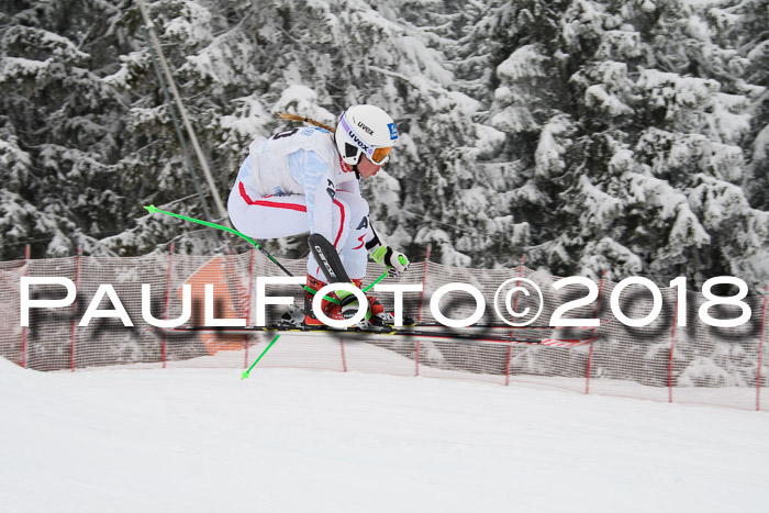 Int. FIS Rennen + NJC Damen, SG, Götschen, 22.02.2018