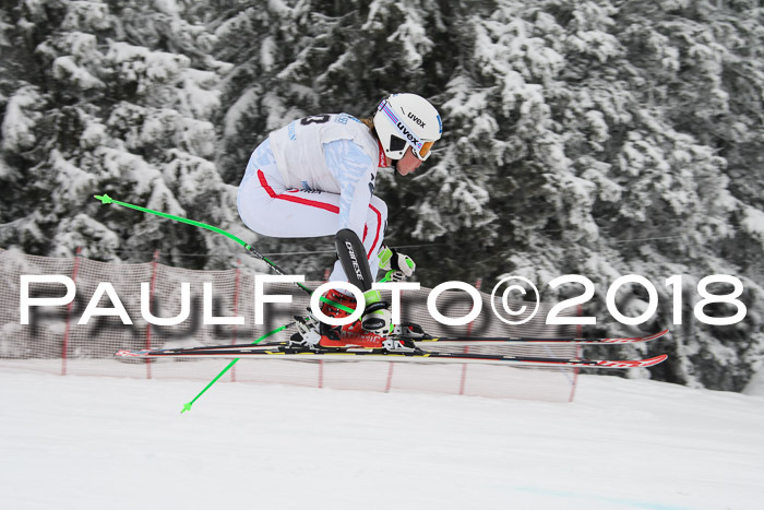 Int. FIS Rennen + NJC Damen, SG, Götschen, 22.02.2018